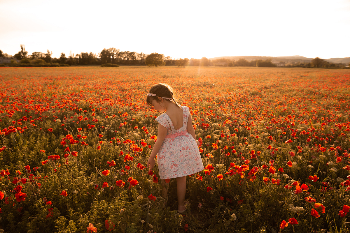 Une séance photos dans les coquelicots à Manosque