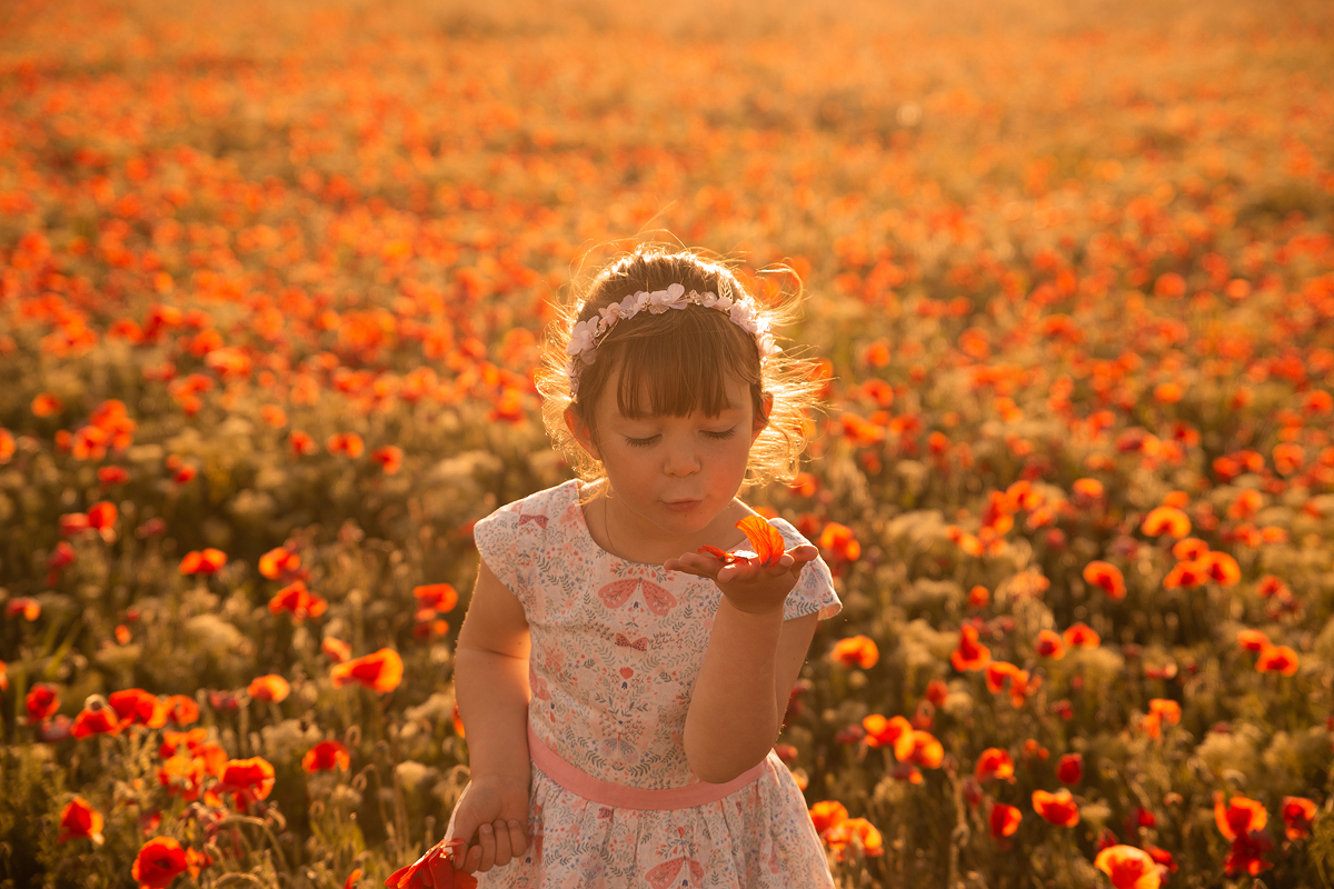 Une séance photos dans les coquelicots à Manosque