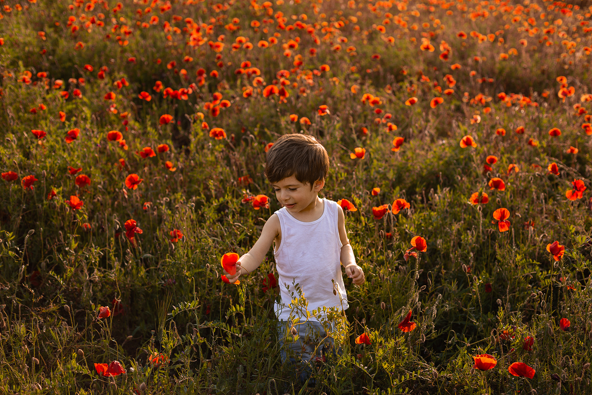 Une séance photos dans les coquelicots à Valensole