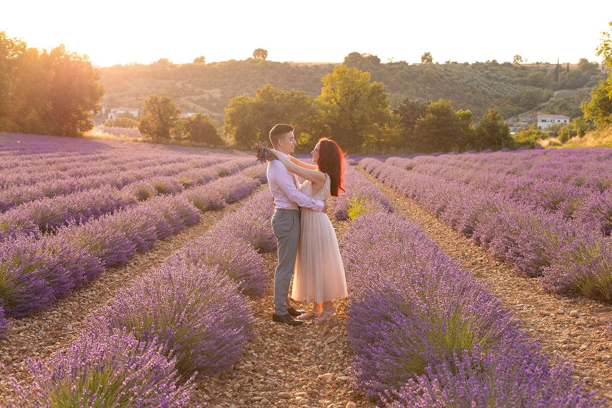 Une séance photos dans les champs de lavandes à Valensole au coucher du soleil