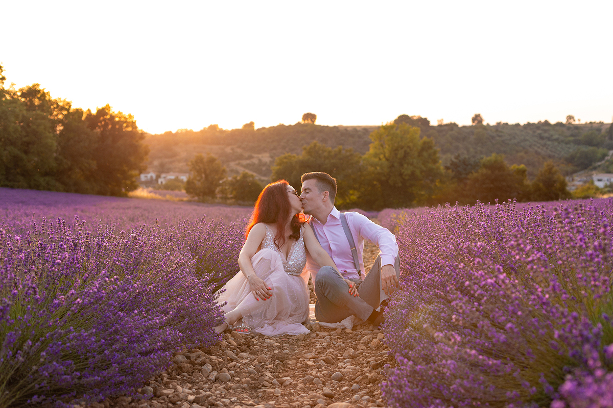 Une séance photos dans les champs de lavandes à Valensole au coucher du soleil