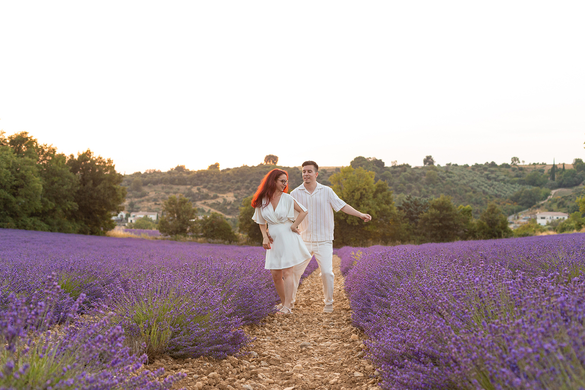 Une séance photos dans les champs de lavandes à Valensole au coucher du soleil